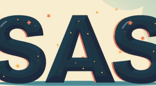 c-est-quoi-une-sas-la-definition-la-plus-simple-possible